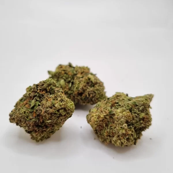 cashmere strain