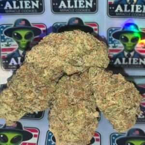 Alien Miracle Cookies