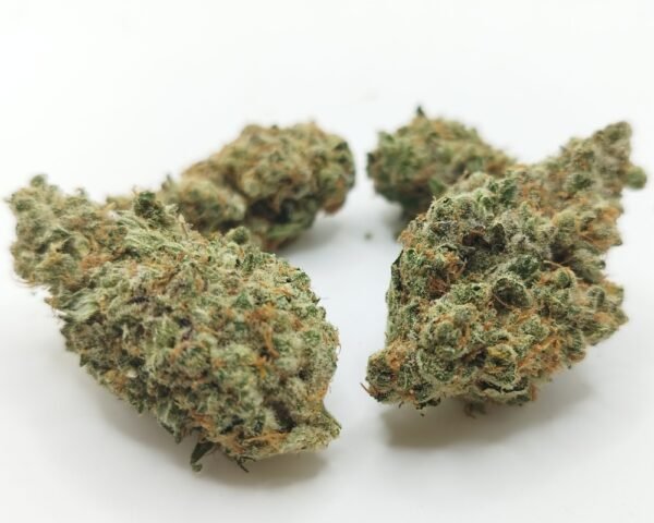 White Truffle